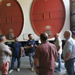 Groupe dans un chai, devant de grands foudres de vin